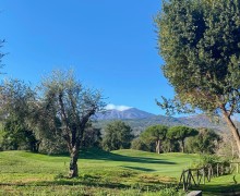 IMG_3860