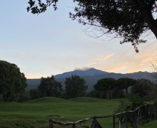 IMG_3897