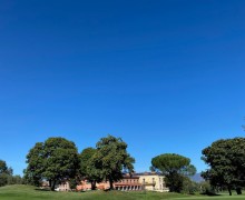 IMG_3981