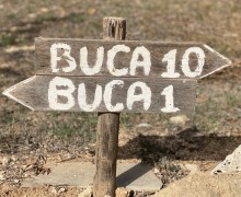 IMG_4103